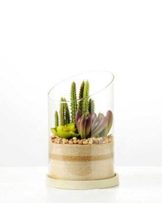 desert plant in glass pot GS-3030009