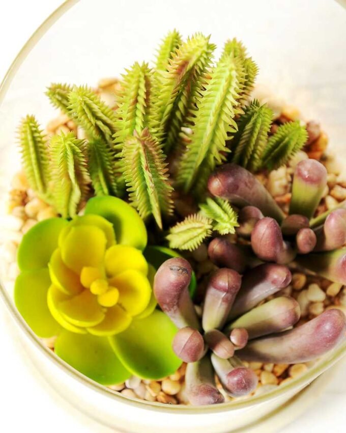 desert plant in glass pot GS-3030009
