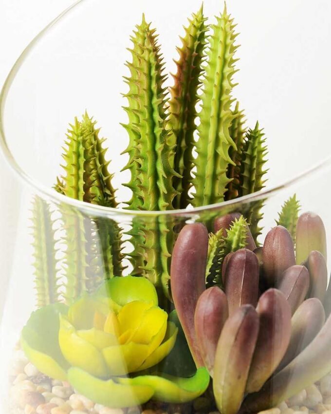 desert plant in glass pot GS-3030009