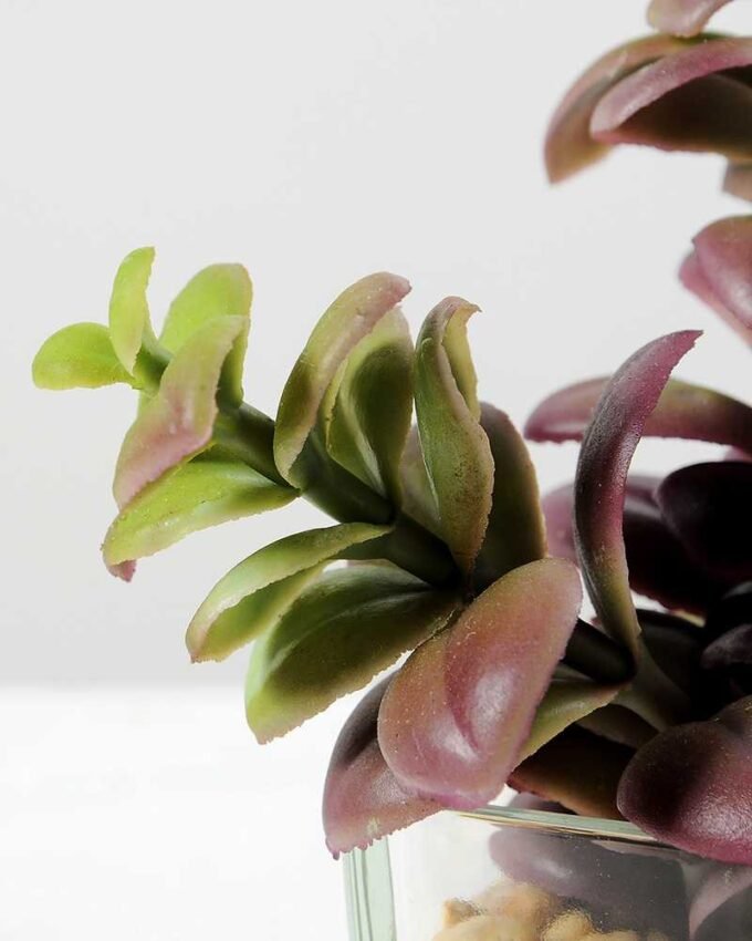 desert plant in glass pot H:15CM GS-3030017