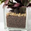 desert plant in glass pot H:15CM GS-3030017
