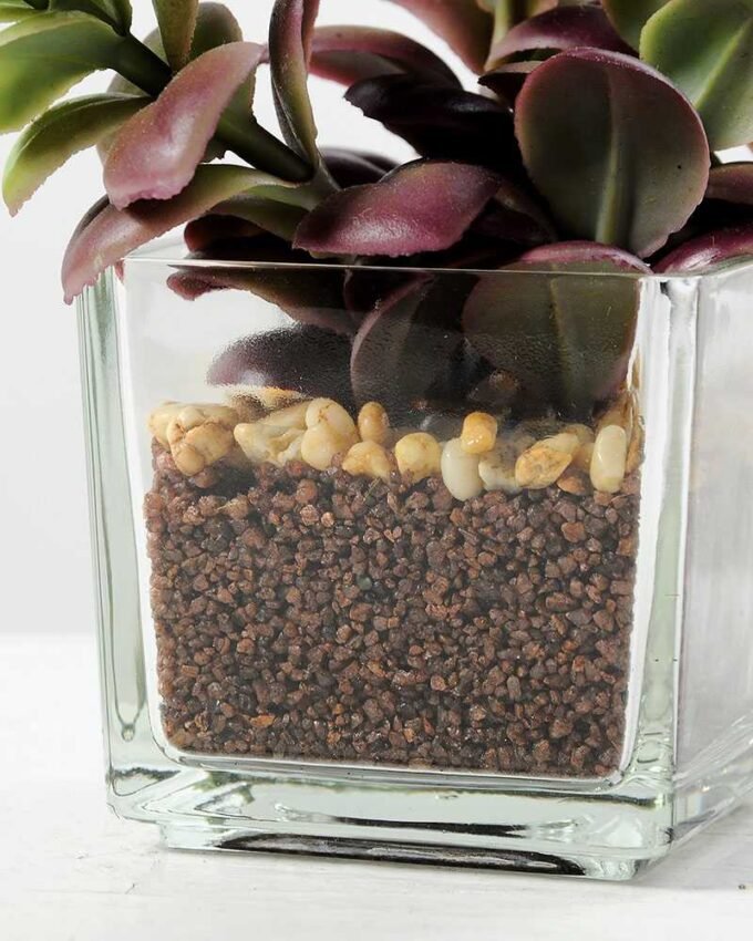 desert plant in glass pot H:15CM GS-3030017