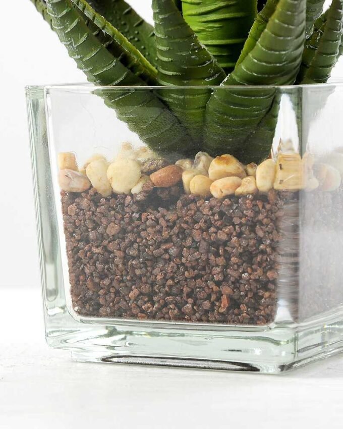desert plant in glass pot H:16CM GS-3030018