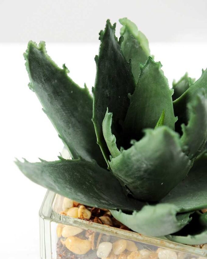 desert plant in glass pot GS-3030019A