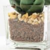 desert plant in glass pot GS-3030019A