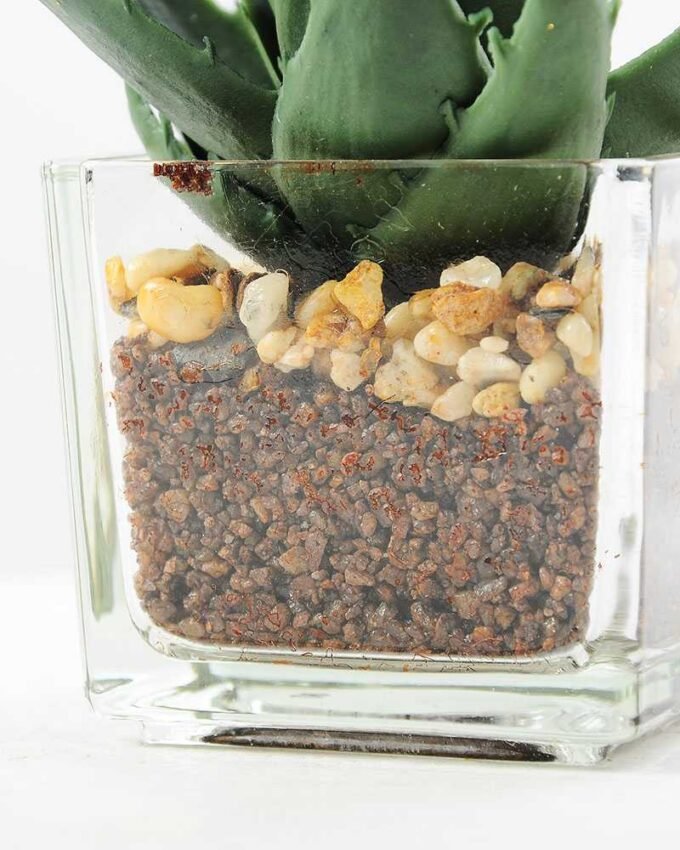 desert plant in glass pot GS-3030019A