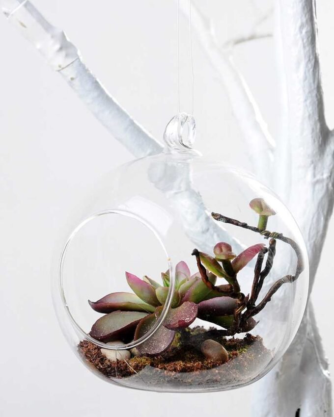 desert plant in glass pot GS-3030023