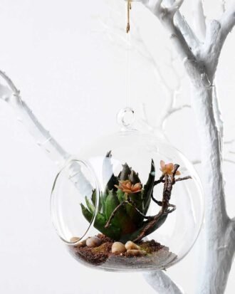 desert plant in glass pot GS-3030024