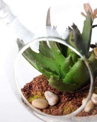 desert plant in glass pot GS-3030024