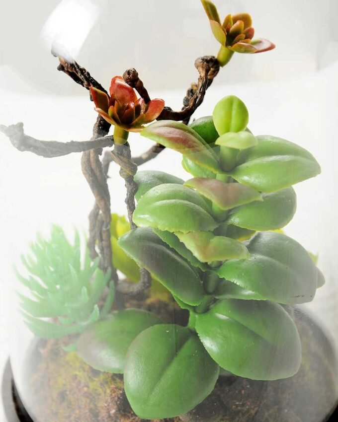 desert plant in glass pot GS-3030025