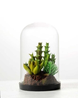 desert plant in glass pot GS-3030026
