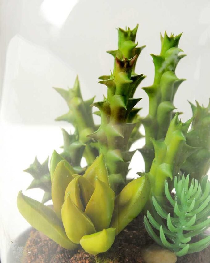 desert plant in glass pot GS-3030026