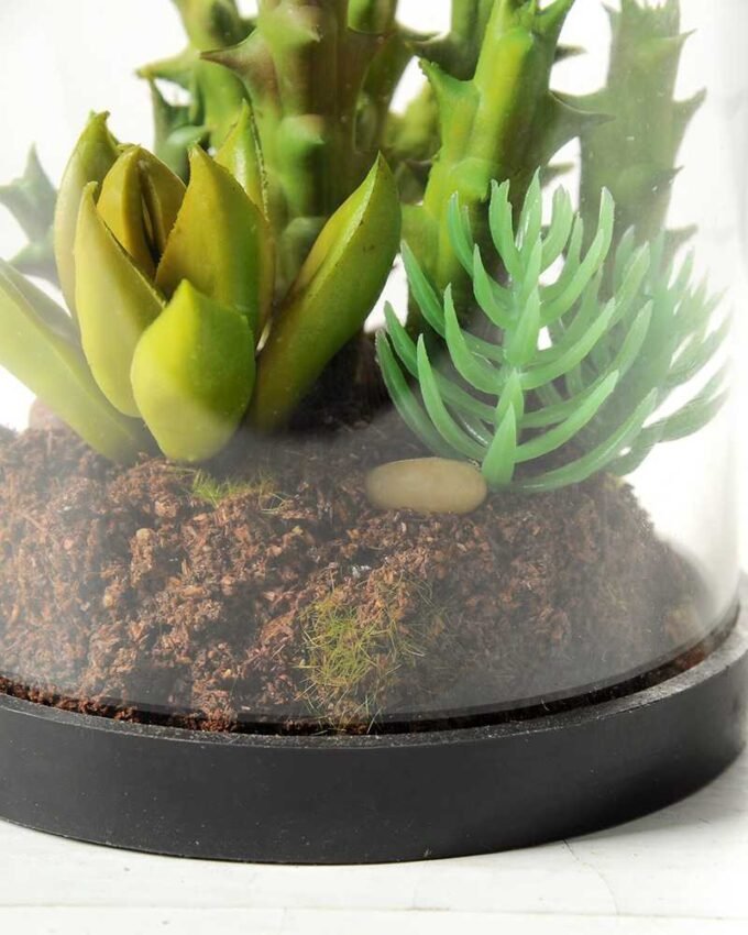 desert plant in glass pot GS-3030026