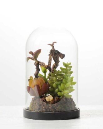 desert plant in glass pot GS-3030027 Succulent YeahFlower is one of Chinese leading OEM manufacturers and exporters , supplying the silk flowers, wholesale artificial trees desert plant in glass pot GS-3030027