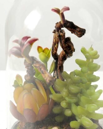 desert plant in glass pot GS-3030027 Succulent YeahFlower is one of Chinese leading OEM manufacturers and exporters , supplying the silk flowers, wholesale artificial trees desert plant in glass pot GS-3030027