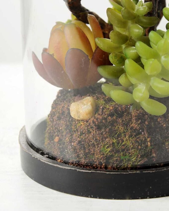 desert plant in glass pot GS-3030027