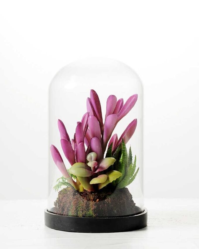 desert plant in glass pot H:17CM W: 9.5CM GS-3030028