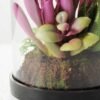 desert plant in glass pot H:17CM W: 9.5CM GS-3030028