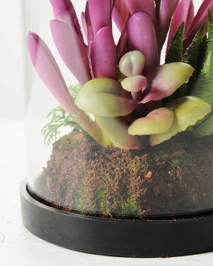 desert plant in glass pot H:17CM W: 9.5CM GS-3030028