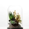 desert plant in glass pot  H:17CM GS-3030029