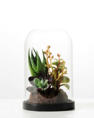 desert plant in glass pot  H:17CM GS-3030029