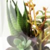 desert plant in glass pot  H:17CM GS-3030029