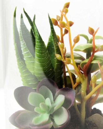 desert plant in glass pot  H:17CM GS-3030029