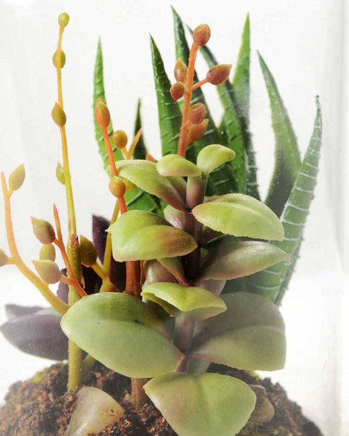 desert plant in glass pot  H:17CM GS-3030029