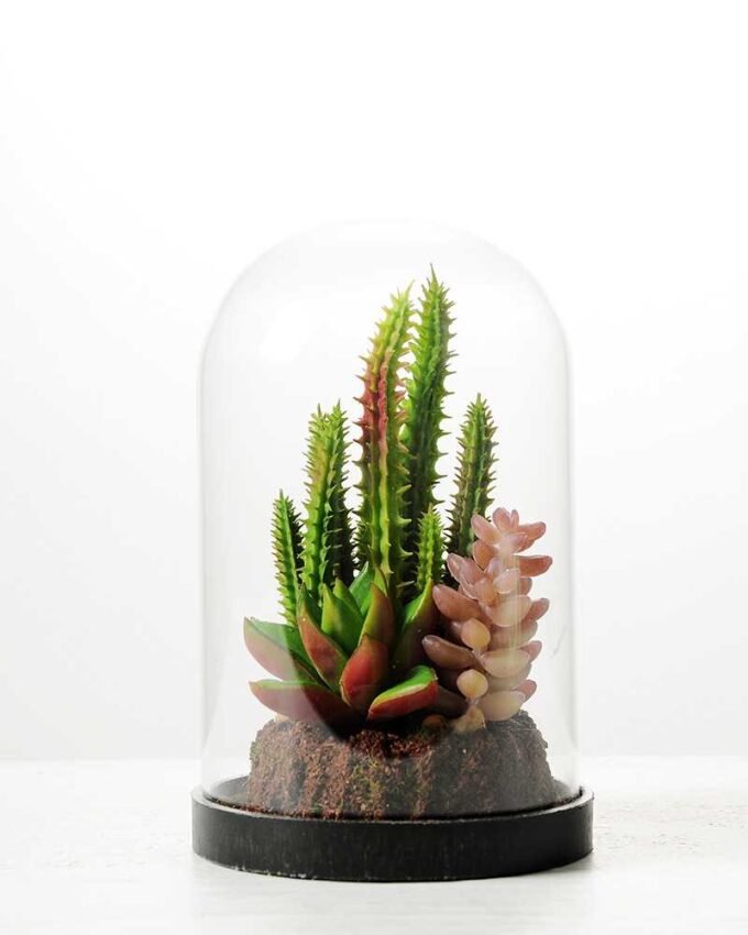desert plant in glass pot  H:17CM GS-3030030