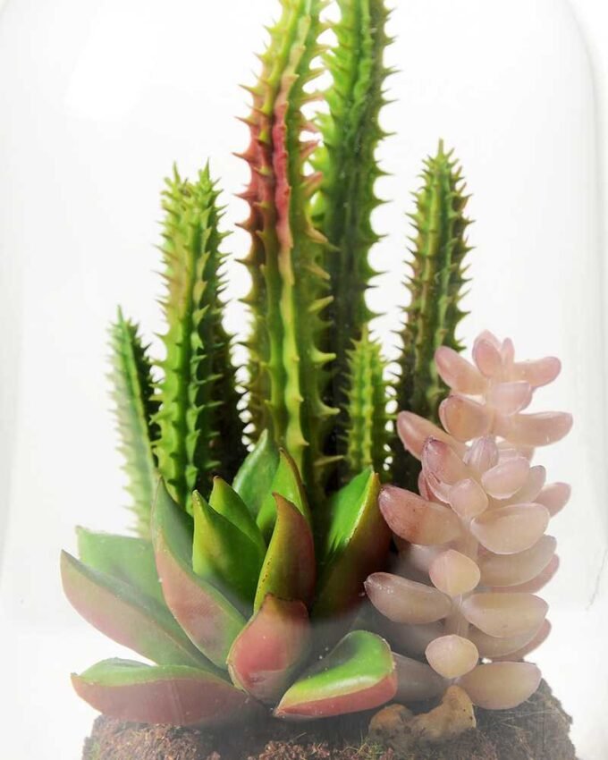 desert plant in glass pot  H:17CM GS-3030030