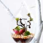 desert plant in glass pot GS-3030039