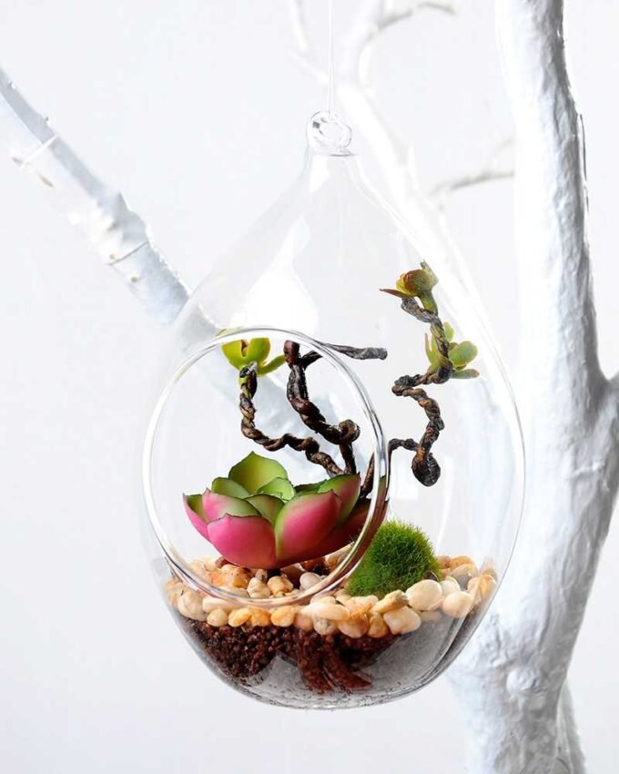 desert plant in glass pot GS-3030039