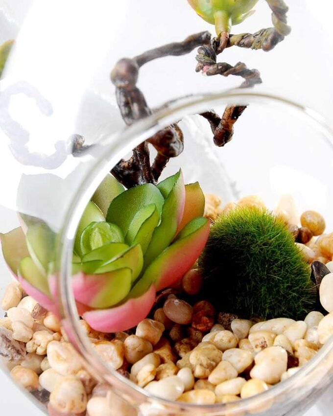 desert plant in glass pot GS-3030039