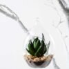 W:10cm H:14cm desert plant in glass pot (without string) GS-3030040 1 W:10cm H:14cm desert plant in glass pot (without string) GS-3030040