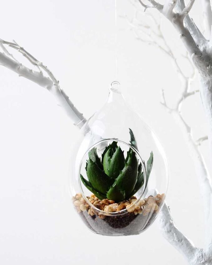 W:10cm H:14cm desert plant in glass pot (without string) GS-3030040 1 W:10cm H:14cm desert plant in glass pot (without string) GS-3030040