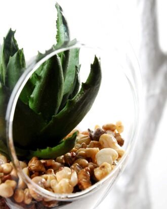 W:10cm H:14cm desert plant in glass pot (without string) GS-3030040