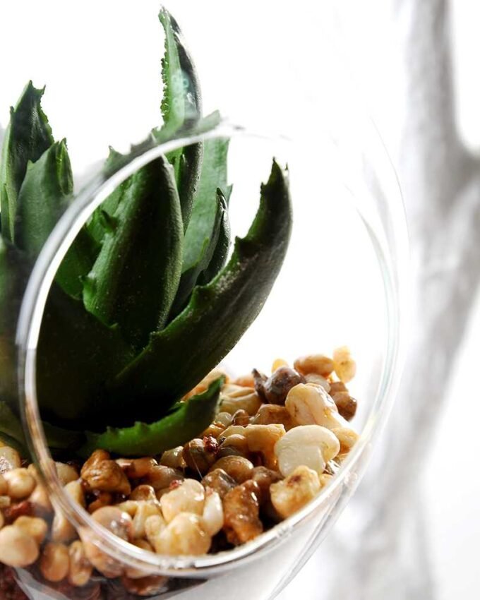 W:10cm H:14cm desert plant in glass pot (without string) GS-3030040 2 W:10cm H:14cm desert plant in glass pot (without string) GS-3030040