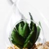 W:10cm H:14cm desert plant in glass pot (without string) GS-3030040 3 W:10cm H:14cm desert plant in glass pot (without string) GS-3030040