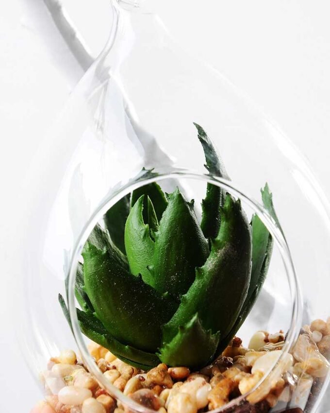 W:10cm H:14cm desert plant in glass pot (without string) GS-3030040 3 W:10cm H:14cm desert plant in glass pot (without string) GS-3030040