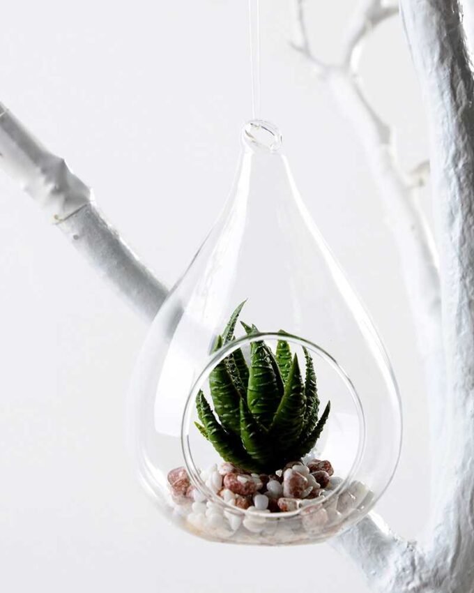 W:8cm H:12cm desert plant in glass pot (without string) GS-3030043