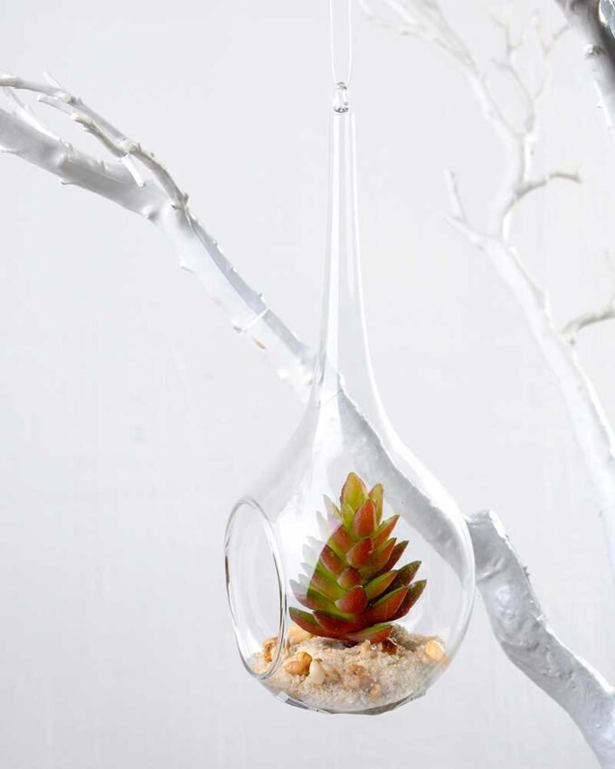 Dia.:8cm H:19cm Succulent in glass pot   GS-3030047
