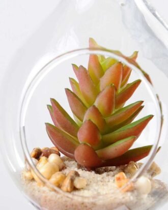 Dia.:8cm H:19cm Succulent in glass pot   GS-3030047