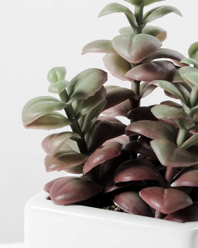 19CM desert plant in ceramics pot GS-3030094 2 19CM desert plant in ceramics pot GS-3030094