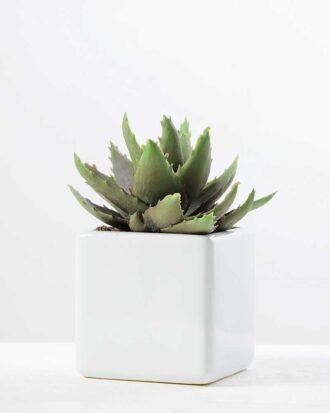 desert plant in ceramics pot GS-3030095A Succulent YeahFlower is one of Chinese leading OEM manufacturers and exporters , supplying the silk flowers, wholesale artificial trees desert plant in ceramics pot GS-3030095A
