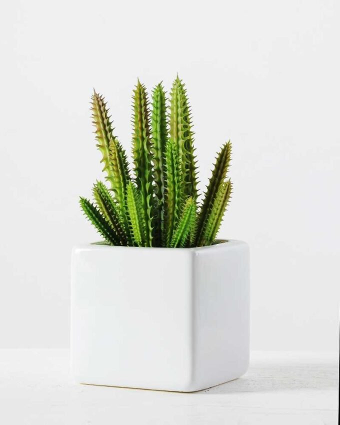 19CM desert plant in ceramics pot GS-3030097