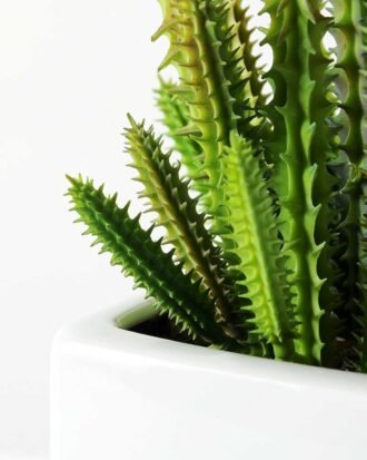 19CM desert plant in ceramics pot GS-3030097