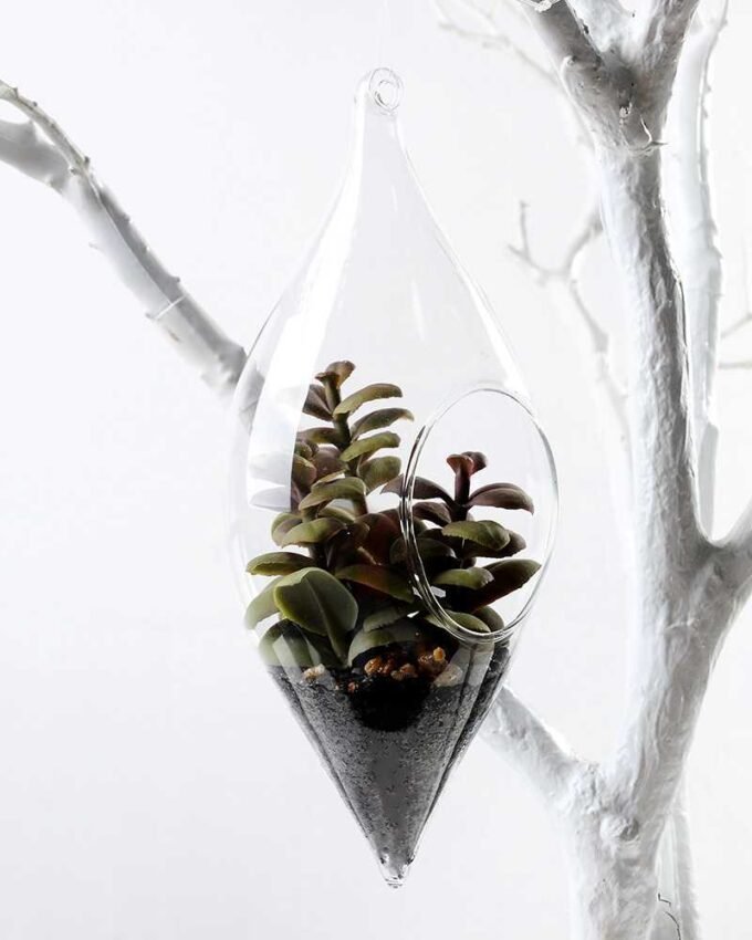 W:9cm H:21cm  Desert plant in glass (without string) GS-3030112