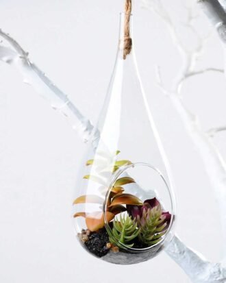 W:8.5cm H:20cm  Desert plant in glass (without string) GS-3030119
