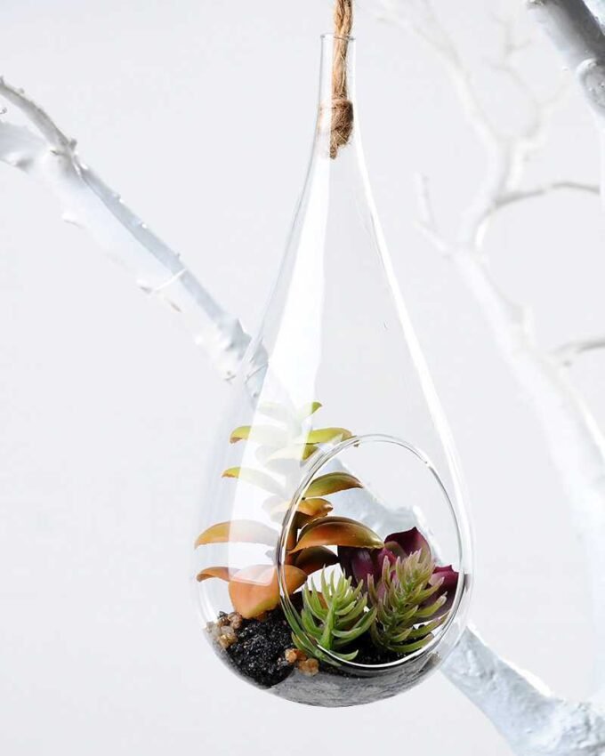 W:8 W:8.5cm H:20cm Desert plant in glass (without string) GS-3030119