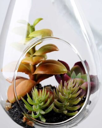 W:8.5cm H:20cm  Desert plant in glass (without string) GS-3030119